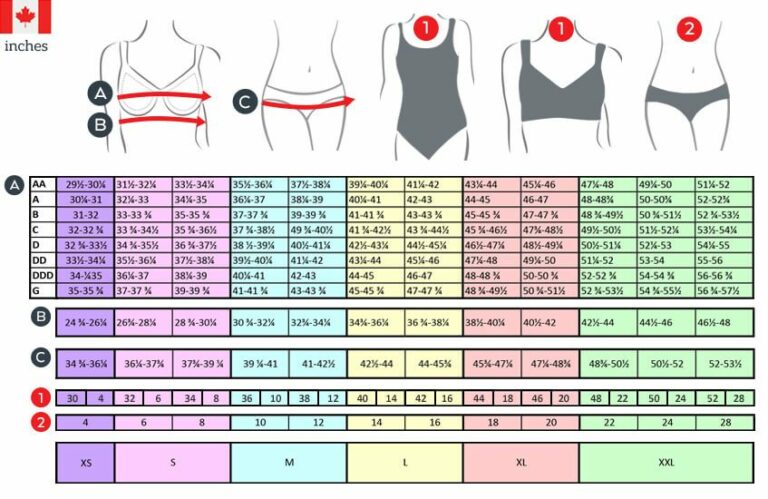 How To Measure For Lingerie Or Swimwear