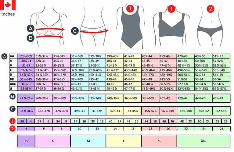 How To Measure For Lingerie Or Swimwear